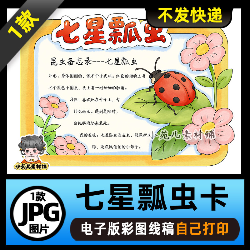 1316【电子版】昆虫备忘录七星瓢虫名片卡手抄报线稿图片