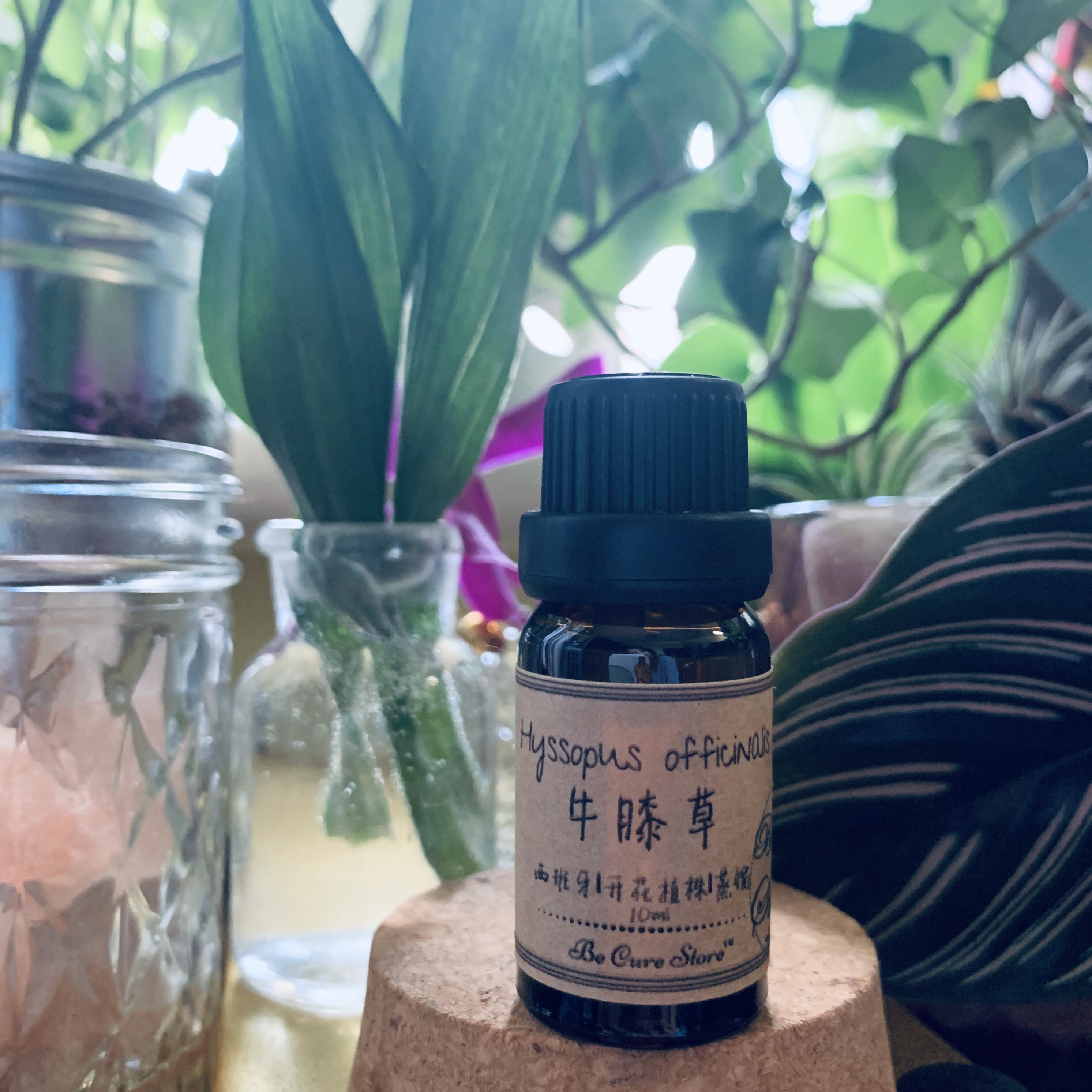 帮助呼吸西班牙芳疗级精油