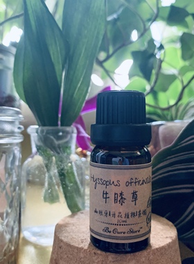 芳疗级牛膝草精油 Hyssopus officinalis 强大净化力 帮助呼吸道