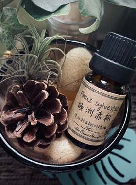 芳疗级欧洲赤松精油Pinus sylvestris 缓解呼吸道敏感