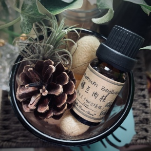锡兰肉桂精油 Cinnamomum zeylanicum 提振情绪抗沮丧 10ml