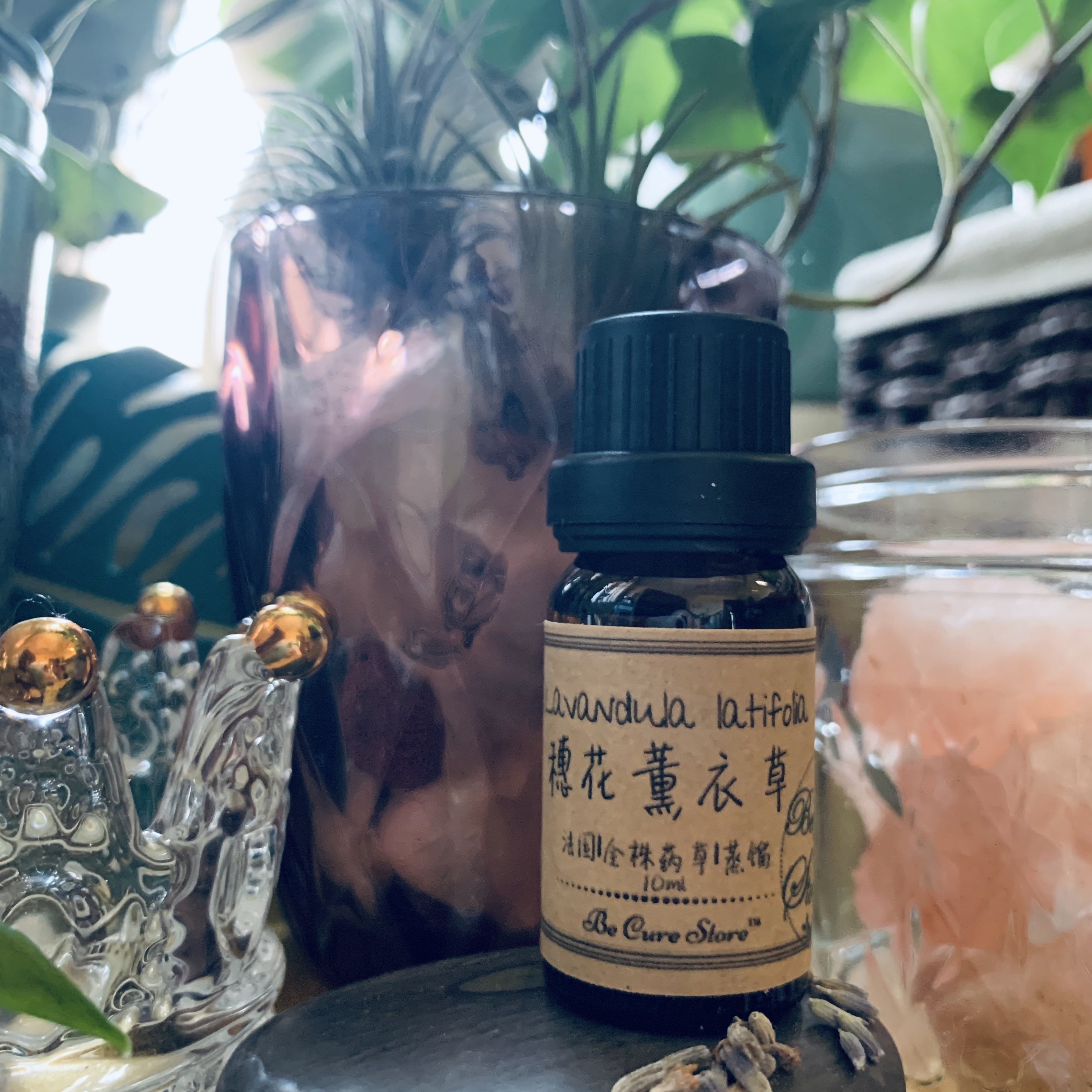Aromatherapy Organic Honoka Lavender essential oil Lavandula latifolia Organic First aid for burnsin the Skin Care/Body/Essential oils , Aromatherapy essential oils , Essential oils  category - from Buy2taobao.com to provide professional Taobao agent buy service