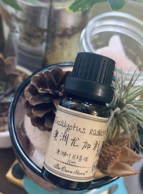 芳疗级澳洲尤加利精油Eucalyptus radiata缓解感冒呼吸道10ml