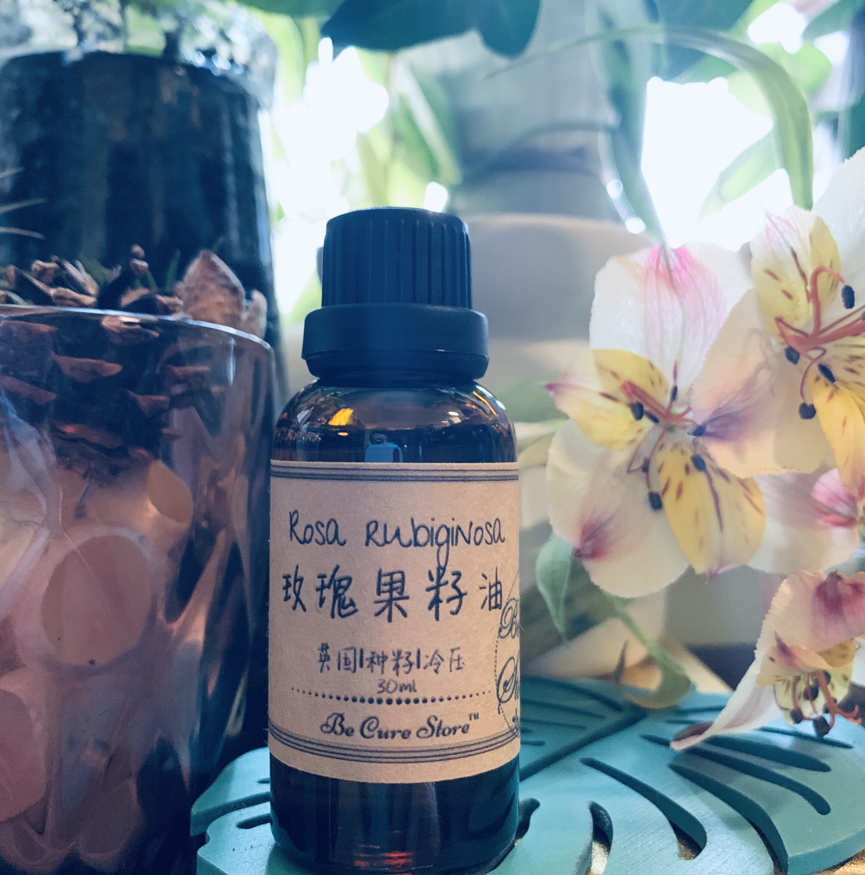 芳疗级玫瑰果油Rosa rubiginosa 淡化色素修复皮肤天然冷榨