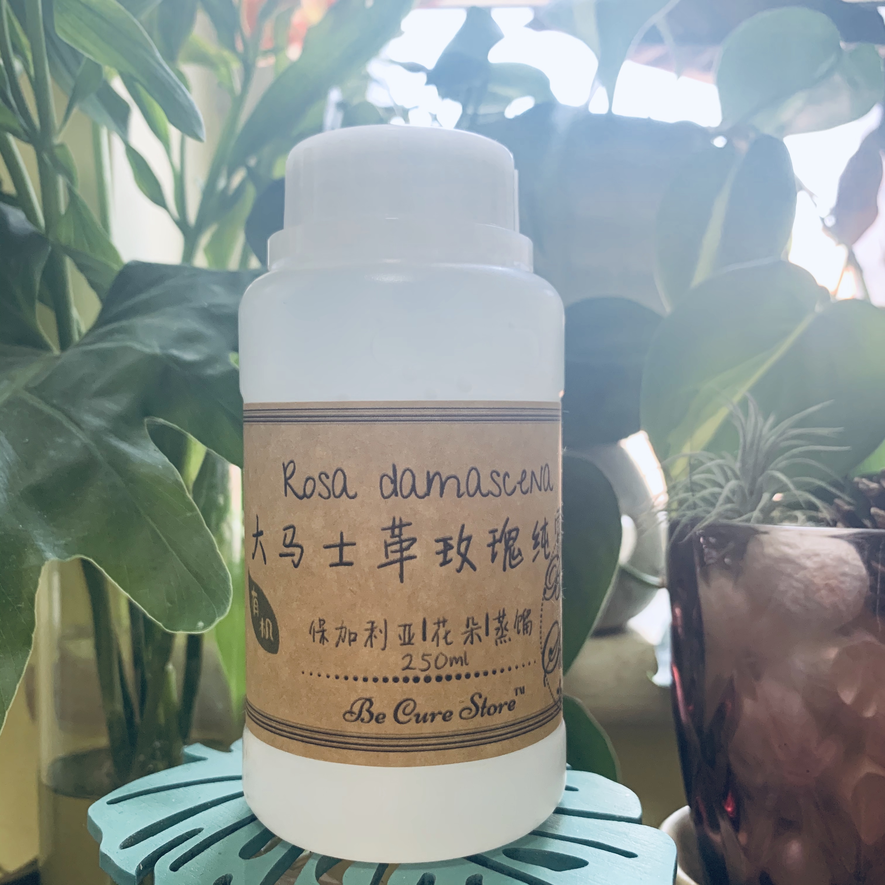 大马士革玫瑰纯露 有机 Rosa damascena 100%饱和 保加