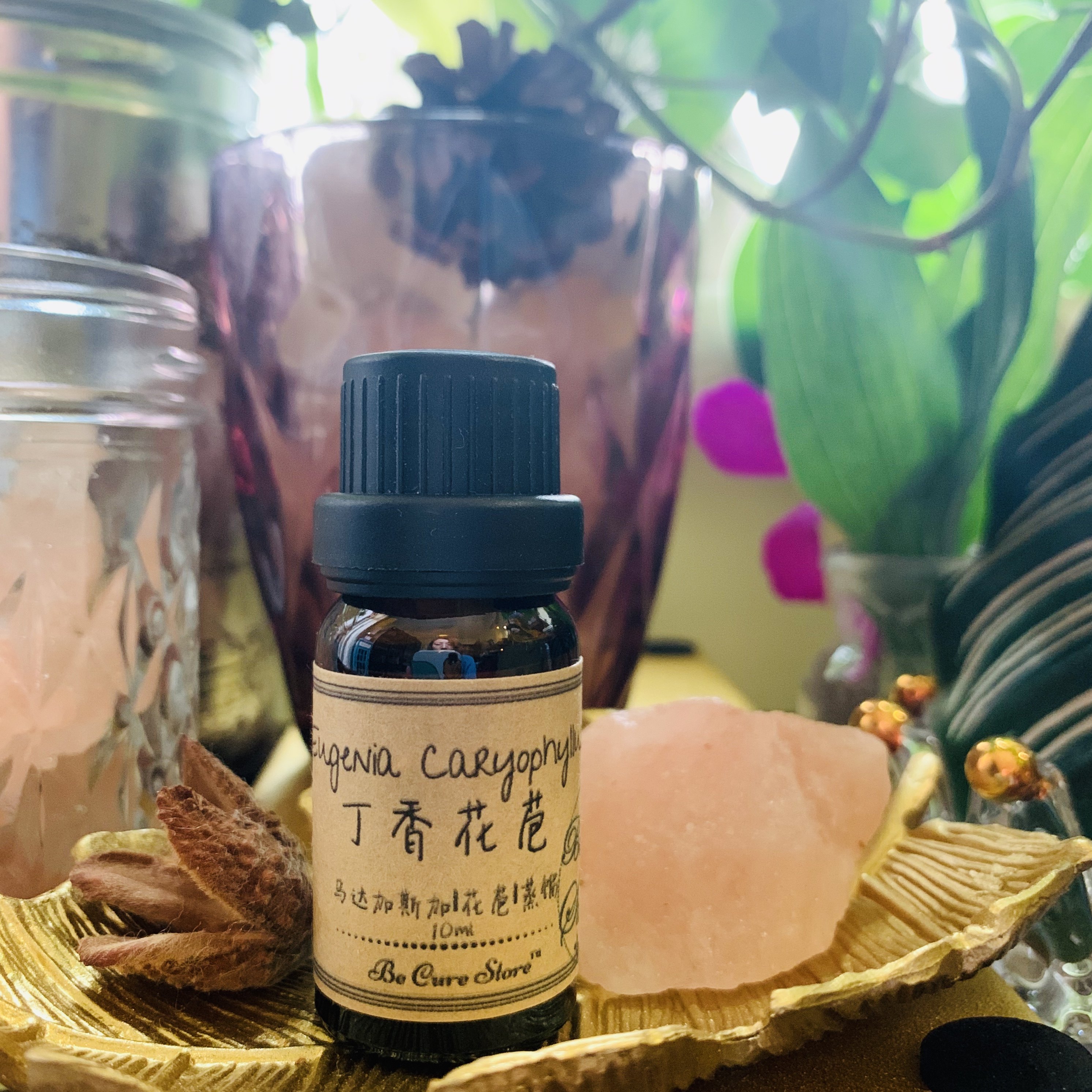 芳疗级丁香花苞精油 eugenia caryophyllus保卫口腔健康