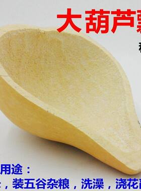 葫芦食用种子蔬果瓠瓜