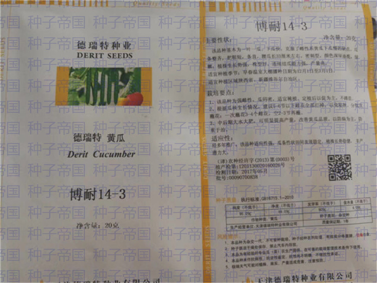 博耐14-3黄瓜种子 天津德瑞特种业