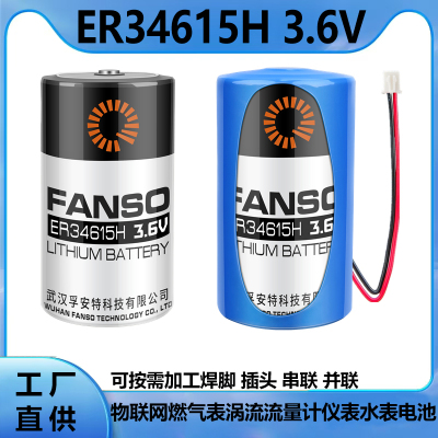 孚安特ER34615H智能水表电池3.6V