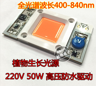 高压大功率全光谱植物