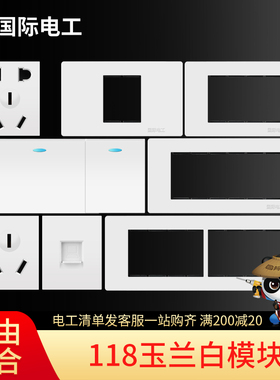 国际电工118型开关插座面板十五孔9六九孔十二12家用白色模块搭配