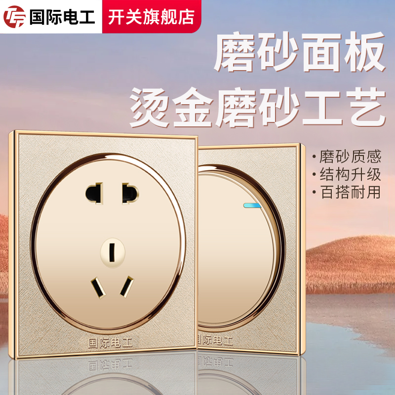 tep国际电工圆形磨砂金开关插座