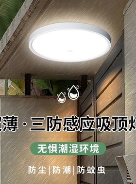 感应吸顶厨房阳台楼梯过道灯楼道灯红外人体雷达感应灯智能声控灯