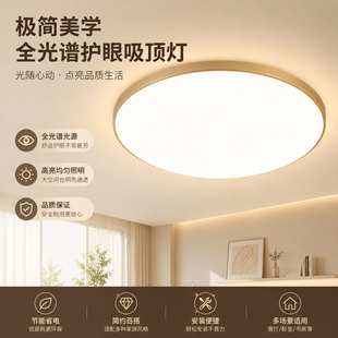 户外吸顶灯外阳台专用灯室外防虫防水别墅门厅灯屋檐灯三防门口灯