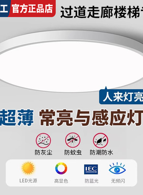 感应灯楼梯吸顶灯过道楼道走廊人体2024新款雷达入户门自动声控灯