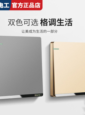 国际电工家用灰色墙壁有机面板86型暗装一开双控五孔16A空调插座