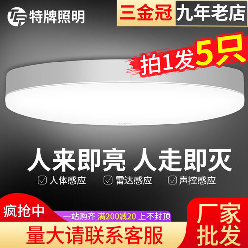 地下室车库专用感应灯自动雷达小区楼道声控灯物业地下室吸顶灯