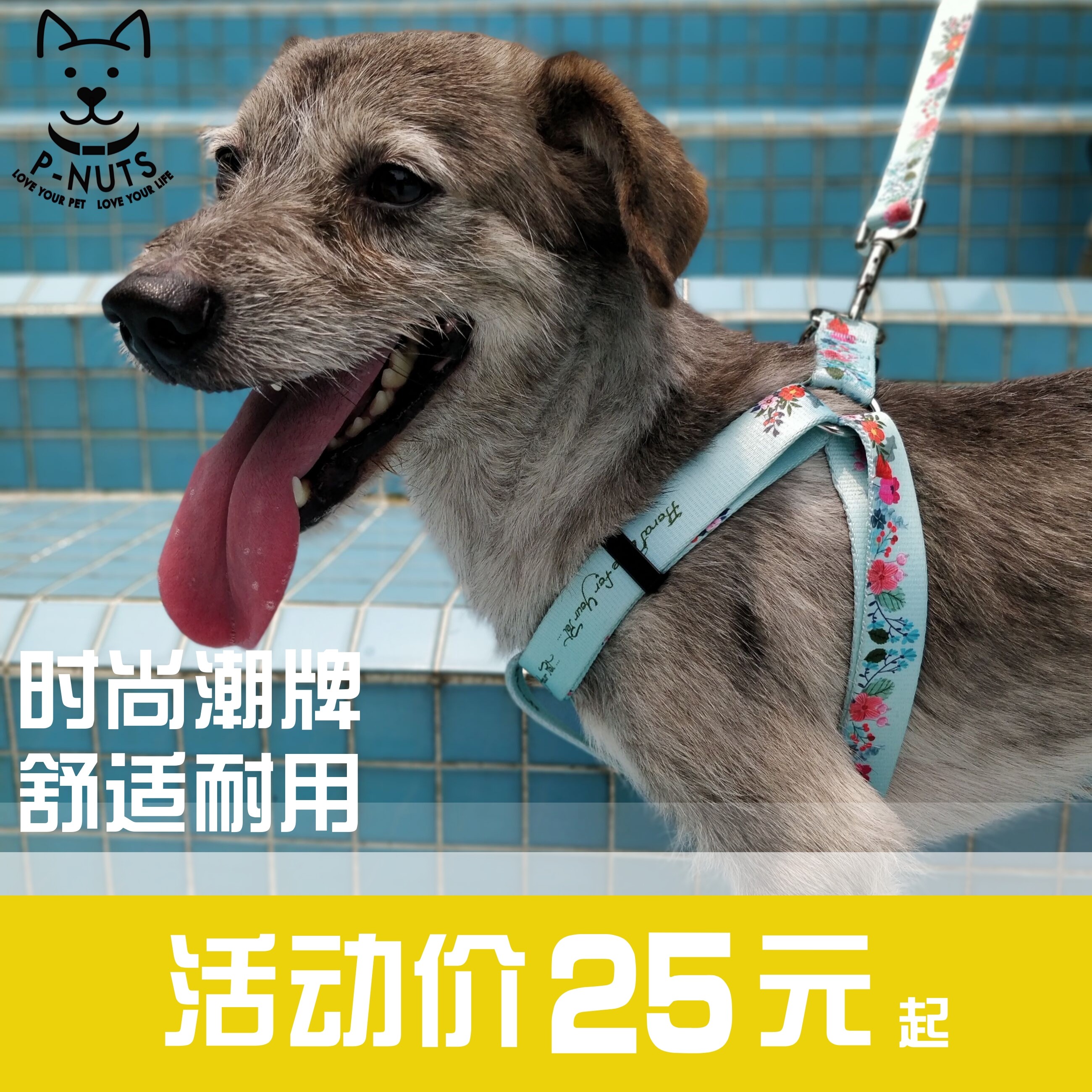 香港潮牌P-NUTS花意遛狗牵引绳胸背带项圈可爱时尚柴犬比熊雪纳瑞|ruв категории животное/Животное питание и принадлежностей, кошка/собака товаров, бытовой натяжного ремня - от Buy2taobao.com для оказания профессиональной услуги покупки агента Taobao