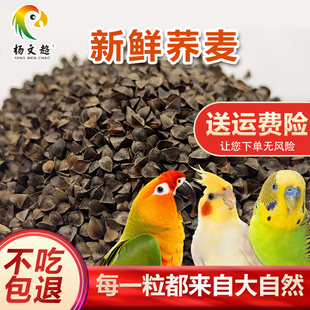 龙猫粮食5斤装 荞麦 鹦鹉鸟食仓鼠 信鸽观赏鸽 带壳荞麦