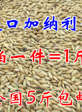 鹦鹉鸟食饲料加纳利子白尖粟金丝雀玄凤虎皮抗寒黄雀高蛋白鸟粮