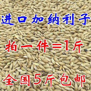 鹦鹉鸟食饲料加纳利子白尖粟金丝雀玄凤虎皮抗寒黄雀高蛋白鸟粮