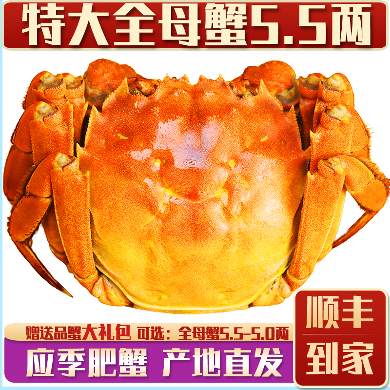 活蟹江苏精品官方阳澄大闸蟹鲜活特大螃蟹公蟹母蟹5.0现货礼盒
