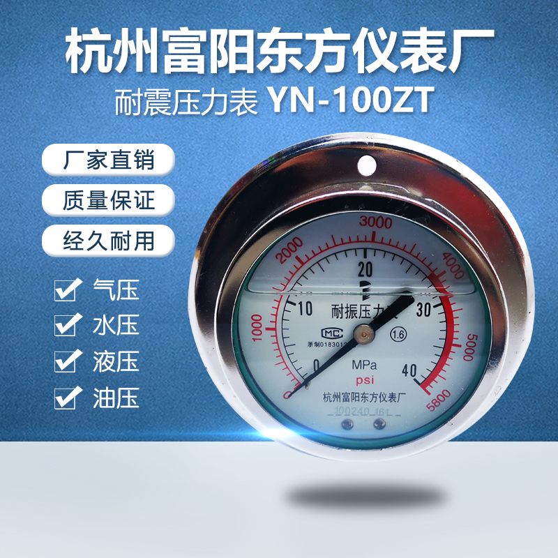 杭州富阳东方YN100ZT耐震压力表