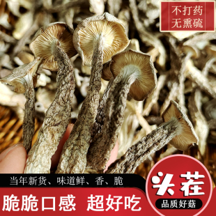 头茬鹿茸菇干货新鲜500g 非野生脆脆干菇菌土特产级煲汤新货