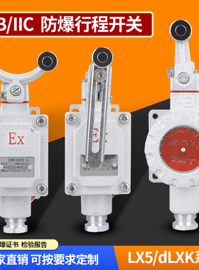 防爆行程开关IIB/IIC防爆脚踏开关防爆隔离限位开关单臂双壁滚轮