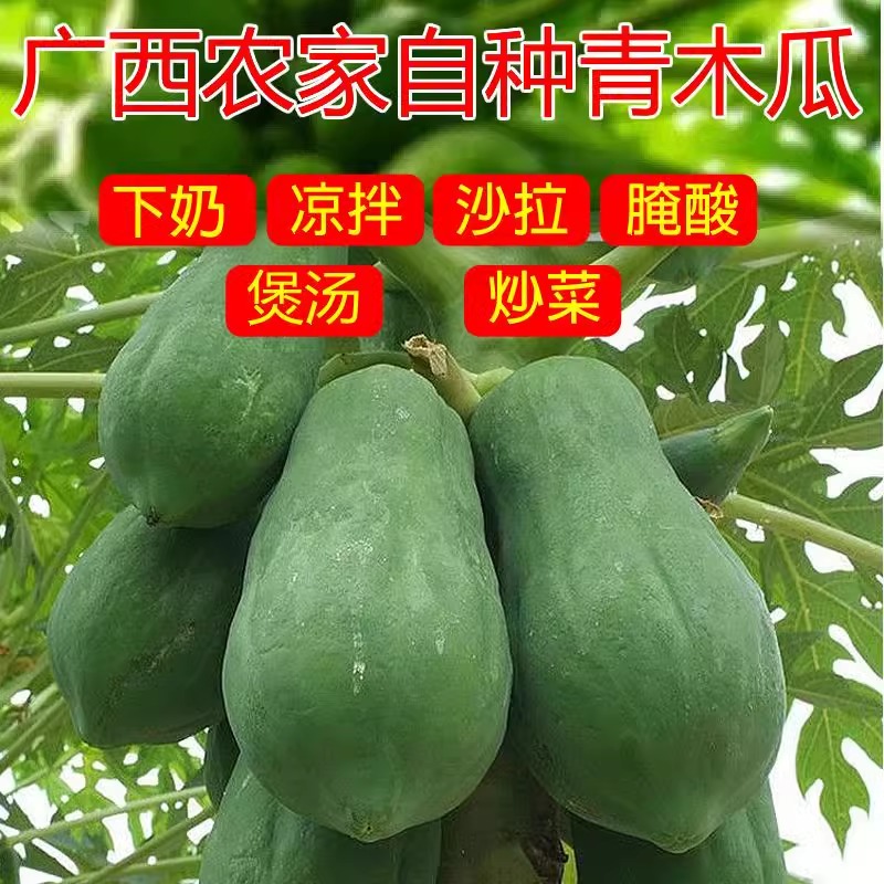 新鲜白肉青木瓜实惠装