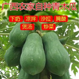 广西青木瓜现摘蔬菜煲汤新鲜生木瓜腌酸凉拌沙拉农家自种菜瓜包邮