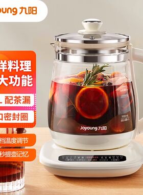 九阳多功能养生壶WY360