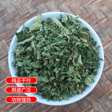 无花果叶干 无花果叶茶 无花果叶子药用新鲜干叶中药材煮水熏洗