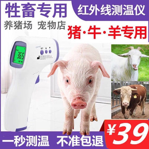 动物兽用测温仪猪牛羊毛
