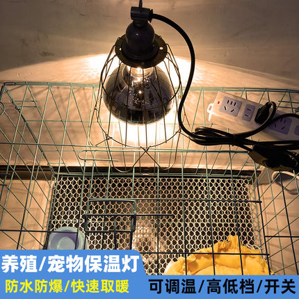 宠物取暖灯兽用动物保温灯套装鸡苗仔猪取暖灯泡可调温度加热带线
