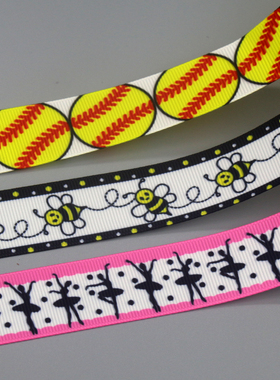 芭蕾花纹印花织带 缎带绸带彩带蝴蝶结DIY卡通印刷罗纹带S20984