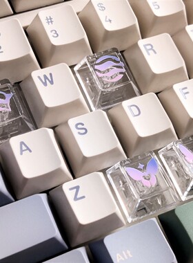 瓦罗兰特 | 透光键帽 机械键盘 个性装饰 桌搭氛围感 PBT材质