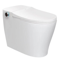 【门店同款】【预售30天】HEGII恒洁卫浴家用直冲智能马桶Q1A