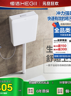 HEGII/恒洁蹲便器水箱套装卫生间蹲坑蹲厕便池防臭大便器H307+611