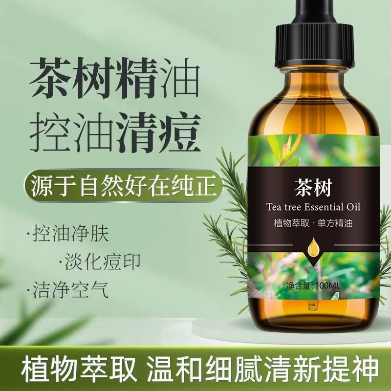 茶树单方香薰精油按摩刮痧推拿单方精油净花空气淡淡茶树香味精油