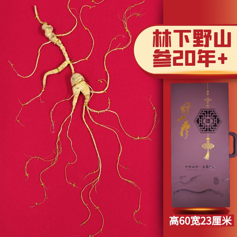 参龄20年 高年头野山参吉林长白山人参林下参野生60厘米山参礼盒