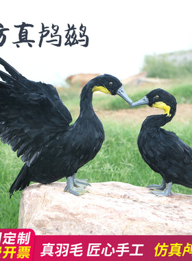 仿真鸬鹚摆件真羽毛模型