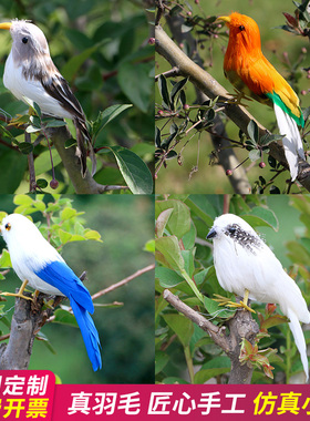 仿真小鸟摆件真羽毛模型
