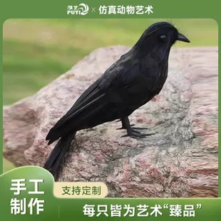 【仿真乌鸦】摆件八哥斑鸠万圣节道具仿真鸟鸦工艺品假鸟模型摆件