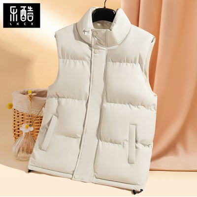 马甲男款加厚无袖坎肩立领夹克男