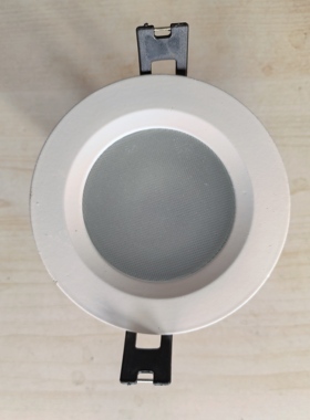 2.5寸3.5寸4寸LED筒灯，暖光，佛山照明老款存货特价