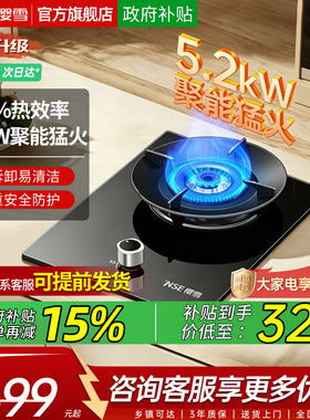 樱雪261Q1燃气灶猛火家用大火力天然液化气灶厨房煤气灶单灶家用