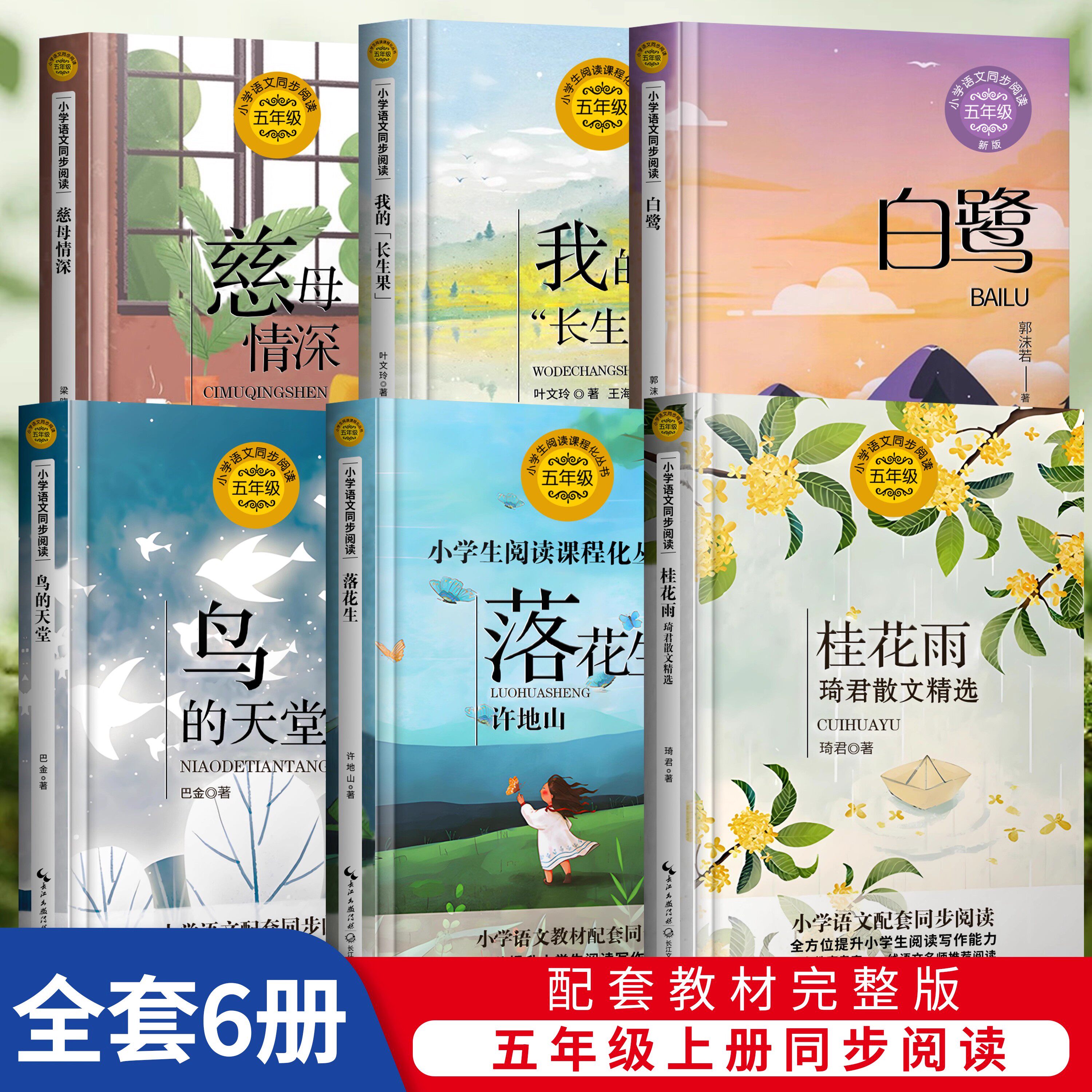慈母情深白鹭+我的长生果+少年中国说+春酒桂花雨 梁晓声 著 小学语文教科书同步阅读书系 现当代文学散文集教材5五年级小学生