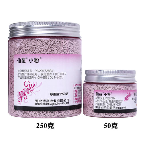 仙葩多肉小粉药4%噻呋酰胺植物防菌药小粉瓶盆栽纹枯病土壤杀菌剂 - 封面