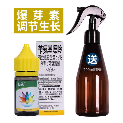 花芽分化花卉多肉仙葩